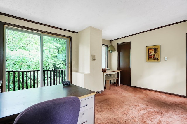 dining area with light colored carpet