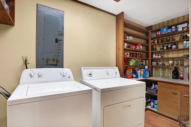 clothes washing area featuring laundry area, washing machine and dryer, and light wood-style floors