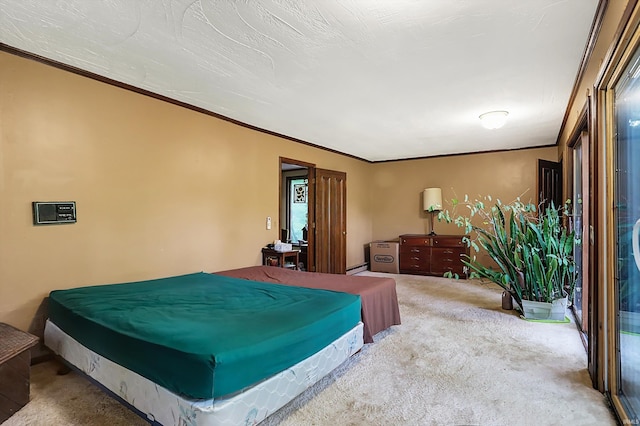 bedroom featuring a baseboard radiator, carpet, and crown molding