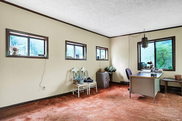 office space featuring carpet flooring and a textured ceiling