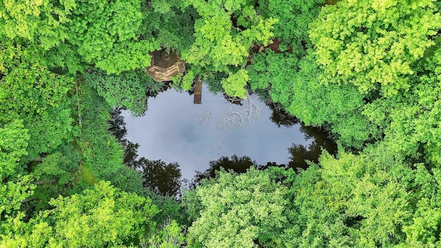 bird's eye view featuring a water view and a wooded view