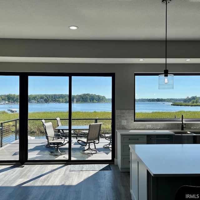 doorway with sink, dark hardwood / wood-style floors, and a water view