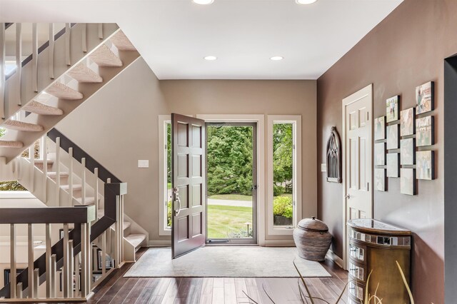 entryway featuring dark hardwood / wood-style floors and plenty of natural light