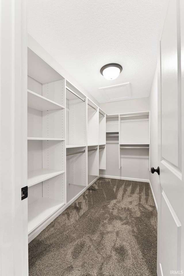 spacious closet with carpet flooring