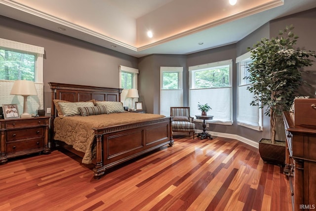 bedroom with multiple windows, wood-type flooring, and a raised ceiling