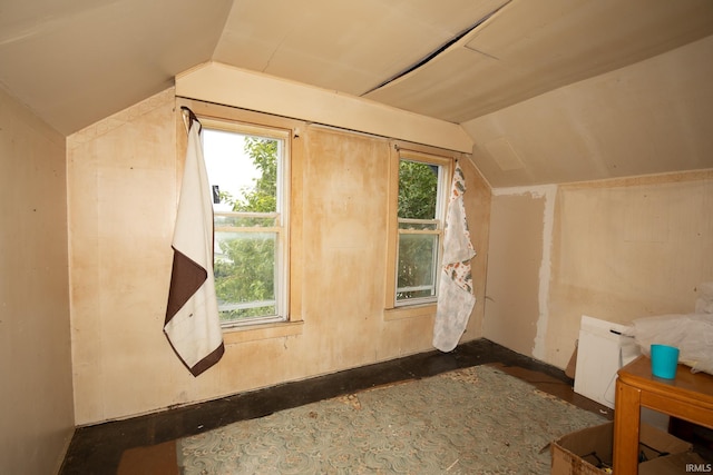 additional living space featuring vaulted ceiling and a wealth of natural light