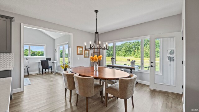 dining room featuring light hardwood / wood-style flooring, a chandelier, and a healthy amount of sunlight