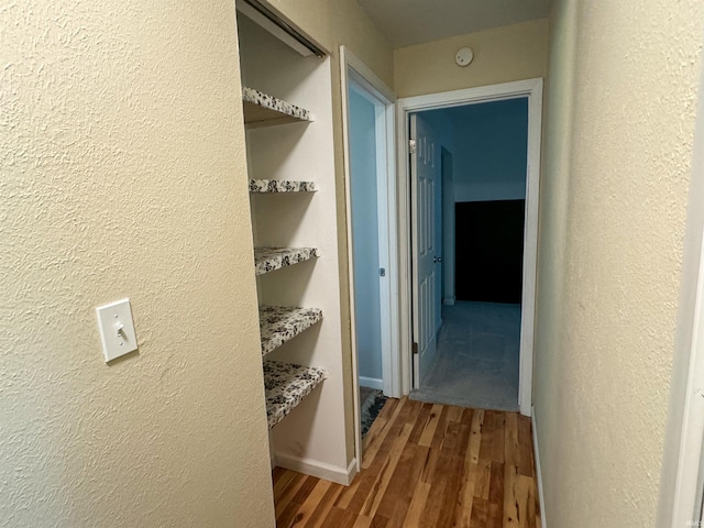 corridor featuring hardwood / wood-style floors