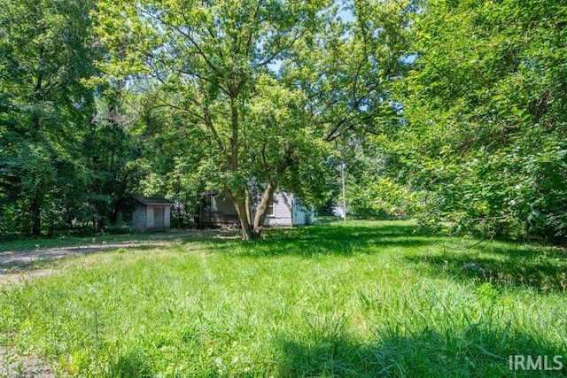 view of yard with a storage unit