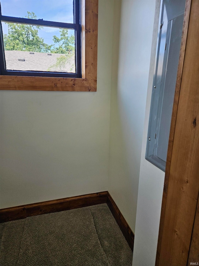 interior space featuring carpet floors