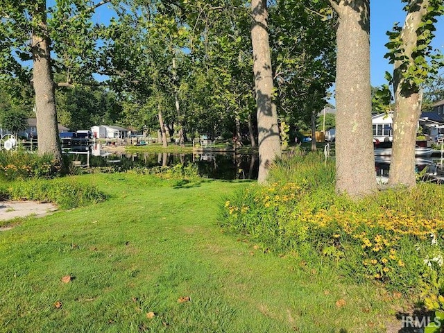 view of yard with a water view