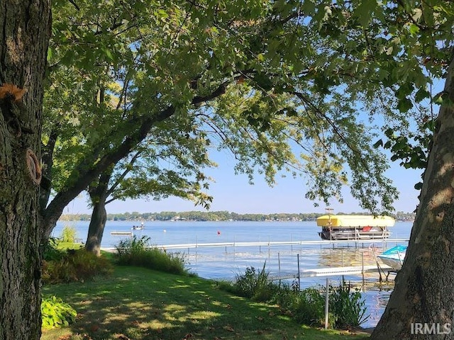 water view with a dock