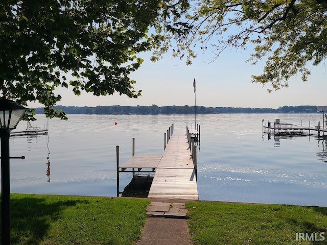 dock area with a water view