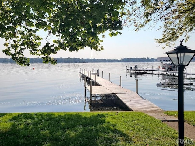 dock area with a water view