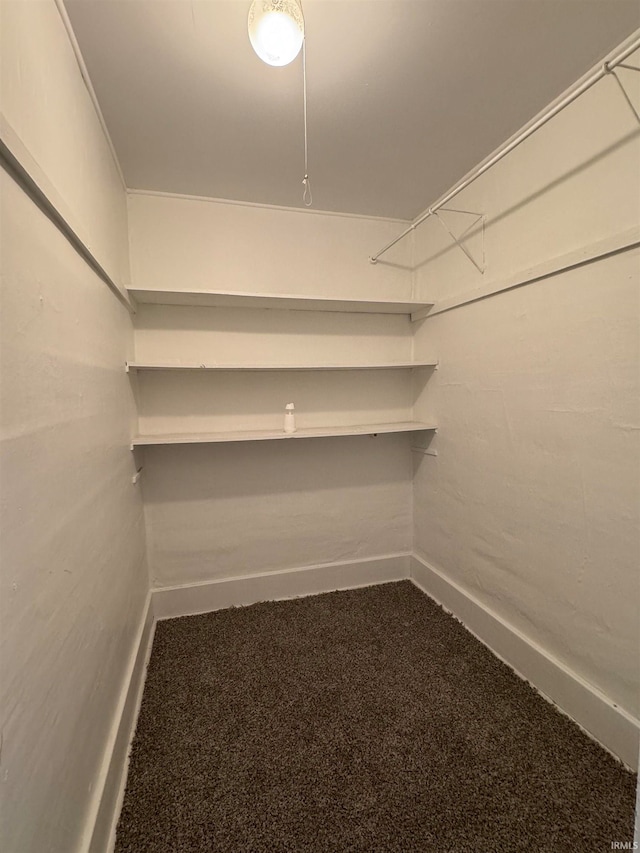 spacious closet with carpet floors