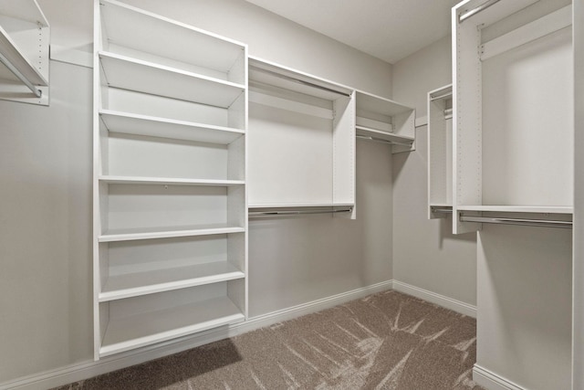 walk in closet with carpet