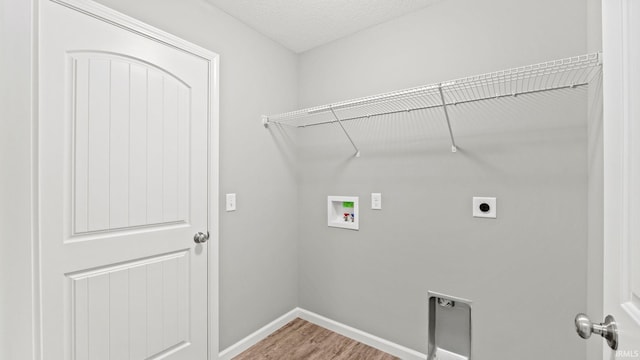 laundry room with hardwood / wood-style flooring, hookup for an electric dryer, washer hookup, and a textured ceiling