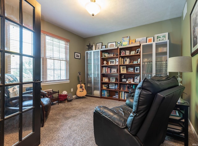 sitting room featuring carpet flooring