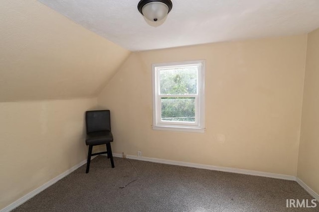 additional living space featuring lofted ceiling and carpet floors