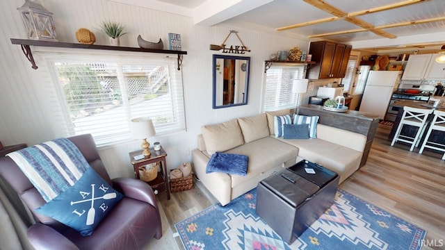 living room featuring light wood-style floors and plenty of natural light