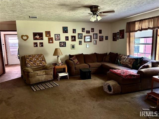 carpeted living room with ceiling fan, plenty of natural light, and a textured ceiling