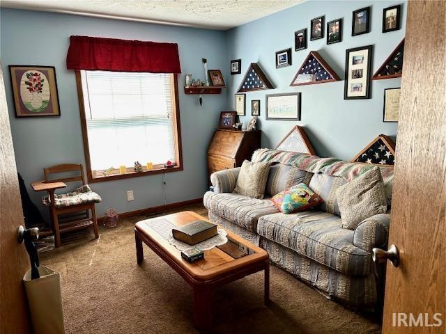 living area featuring carpet floors and a textured ceiling