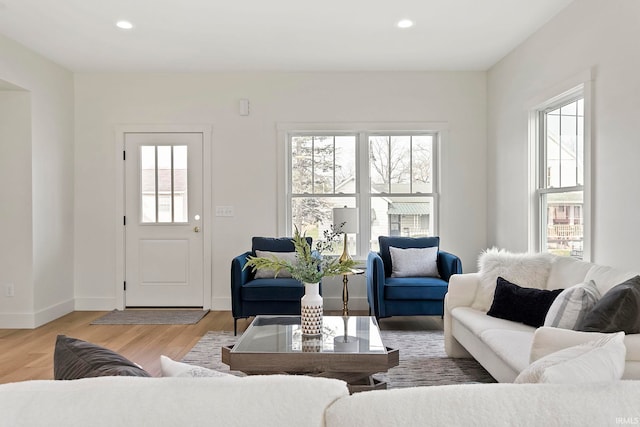 living room featuring wood-type flooring and a healthy amount of sunlight