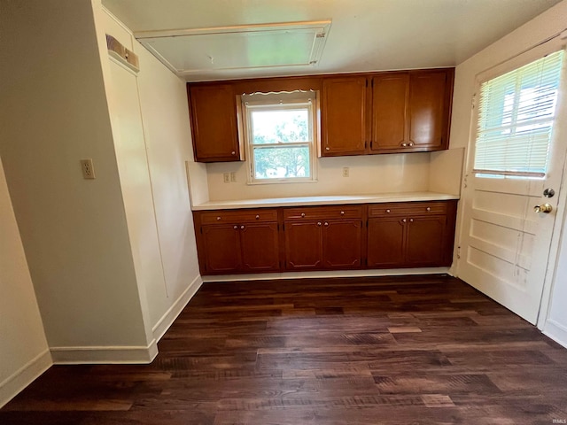 kitchen with dark wood-type flooring and a wealth of natural light