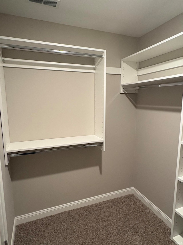 spacious closet featuring carpet