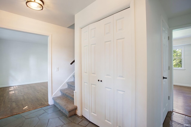 stairway featuring wood-type flooring