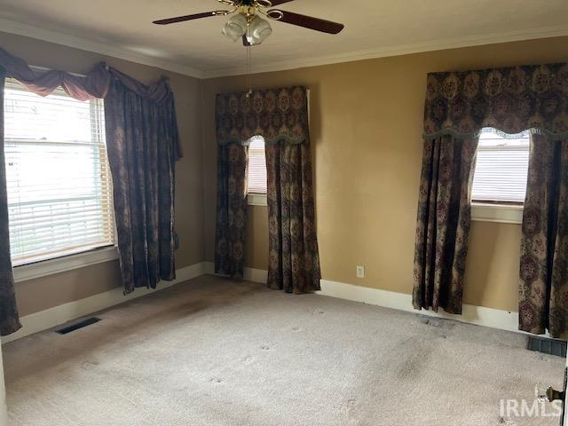 spare room with ceiling fan, ornamental molding, and carpet floors