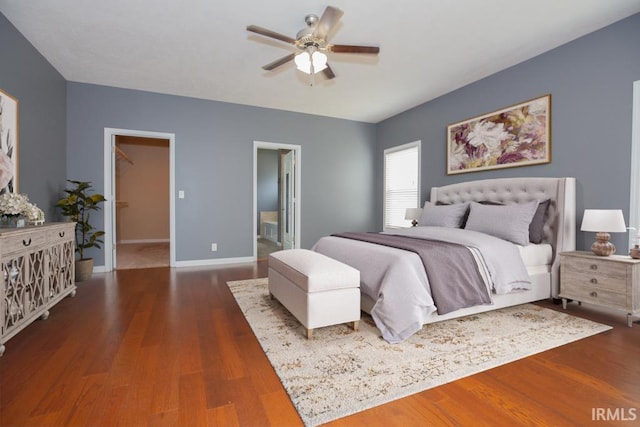 bedroom featuring a walk in closet, dark hardwood / wood-style floors, ensuite bath, and ceiling fan