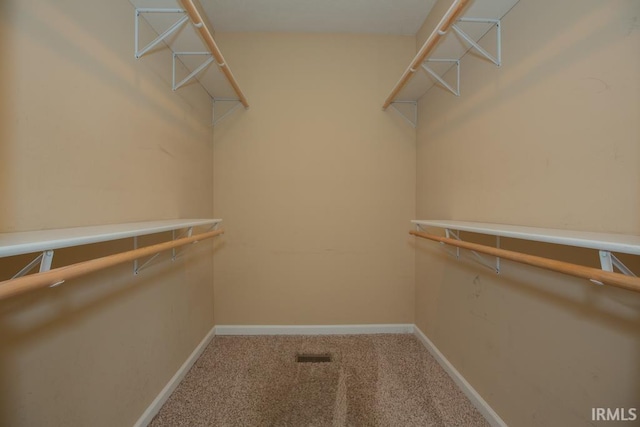 spacious closet featuring carpet flooring