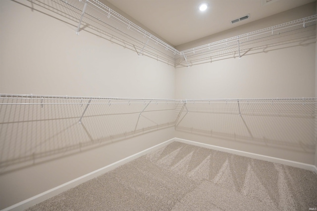 spacious closet featuring carpet floors