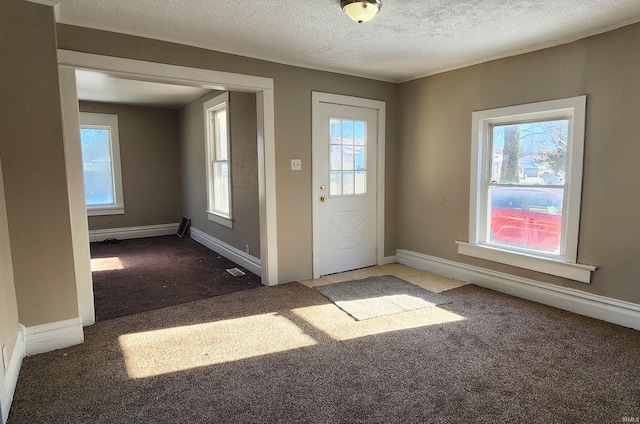 715 Osage St, Fort Wayne, IN 46808 - carpeted foyer featuring healthy amount of natural light, a baseboard heating unit, a textured ceiling, and baseboards