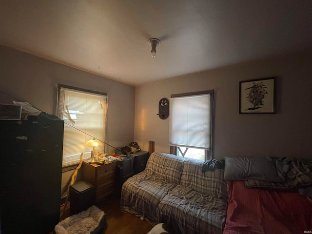 living room with wood-type flooring