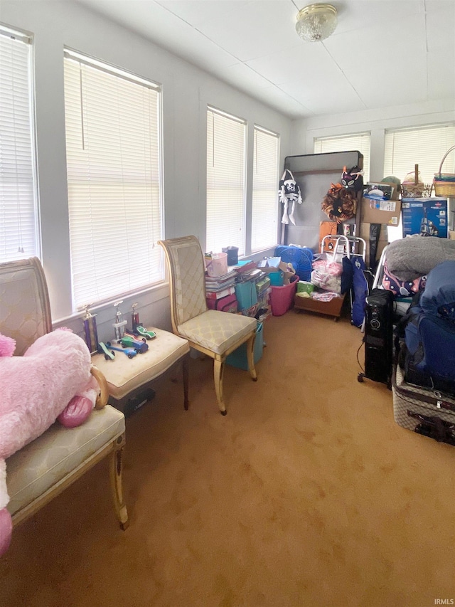 bedroom featuring carpet flooring