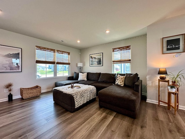 living room featuring hardwood / wood-style floors