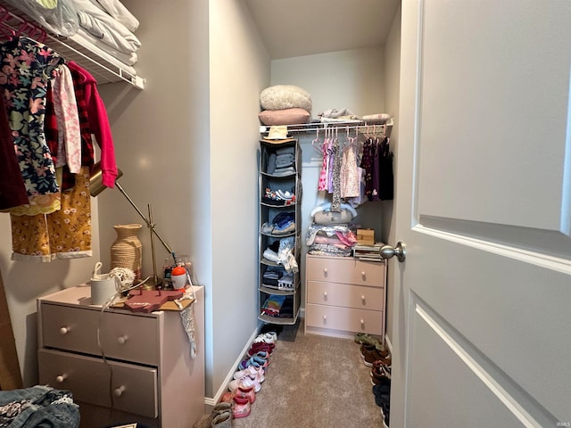 spacious closet featuring carpet flooring