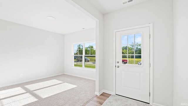 entryway with light hardwood / wood-style flooring and a healthy amount of sunlight