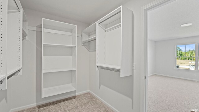 walk in closet featuring light carpet