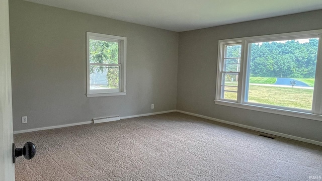 carpeted empty room with a wealth of natural light