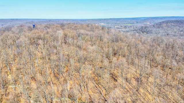 5520 Blue Heron Ln, Tobinsport, IN 47520