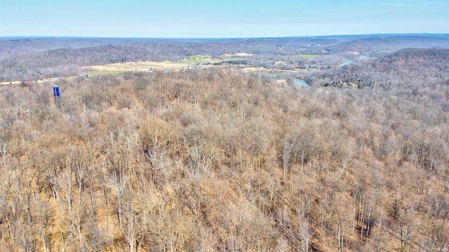 5520 Blue Heron Ln, Tobinsport, IN 47520