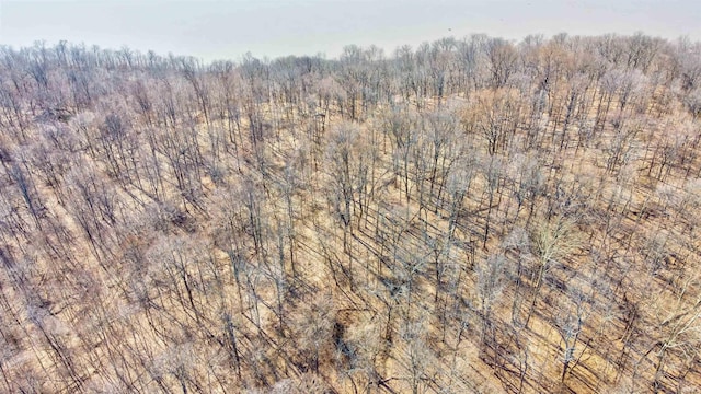 5520 Blue Heron Ln, Tobinsport, IN 47520
