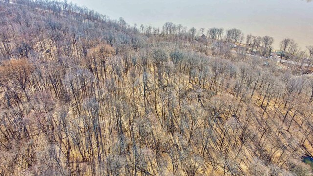 5520 Blue Heron Ln, Tobinsport, IN 47520