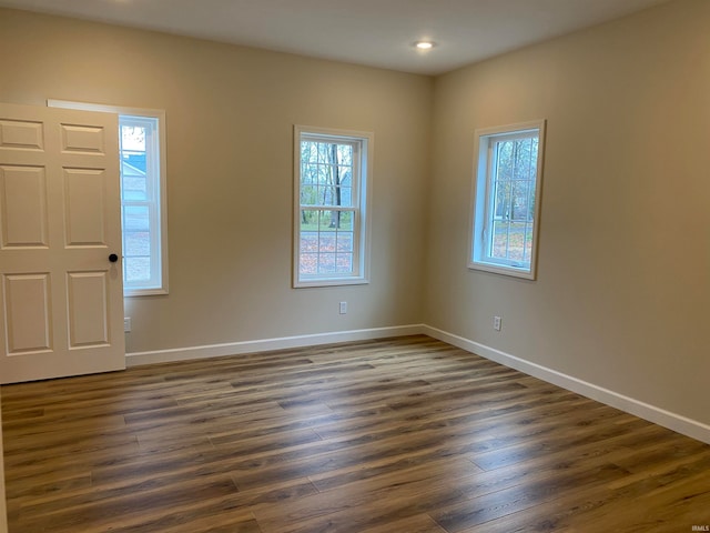 entrance foyer with dark hardwood / wood-style floors and plenty of natural light