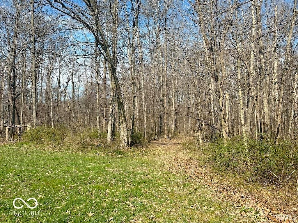 view of landscape