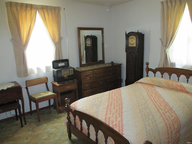 bedroom with carpet floors