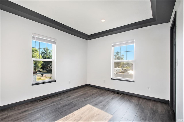 spare room featuring wood-type flooring